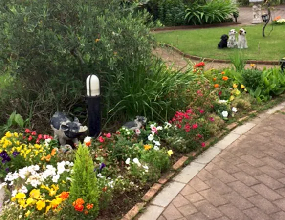 ライフコミューン南与野の紹介写真 5