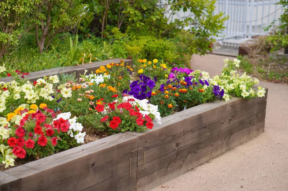 アズハイム市川の紹介写真 6