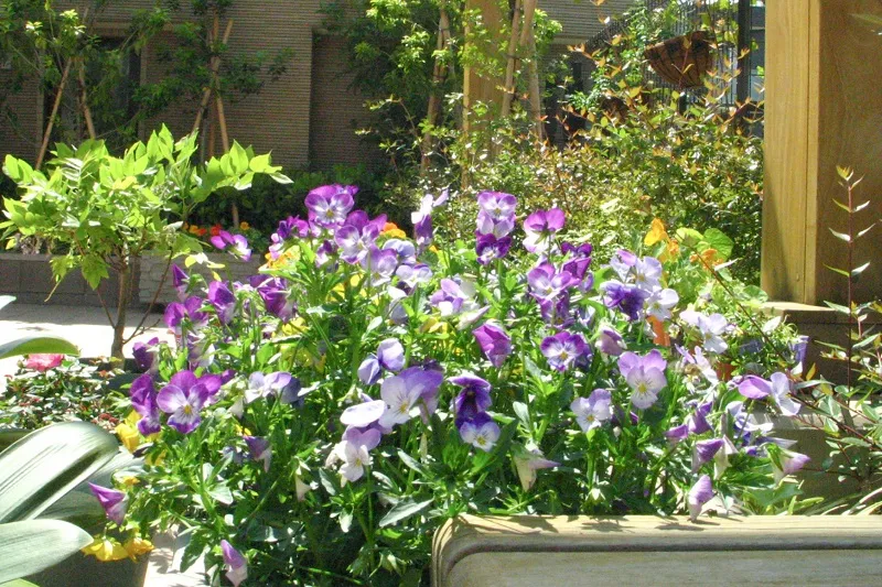 グランクレール成城ケアレジデンスの紹介写真 3