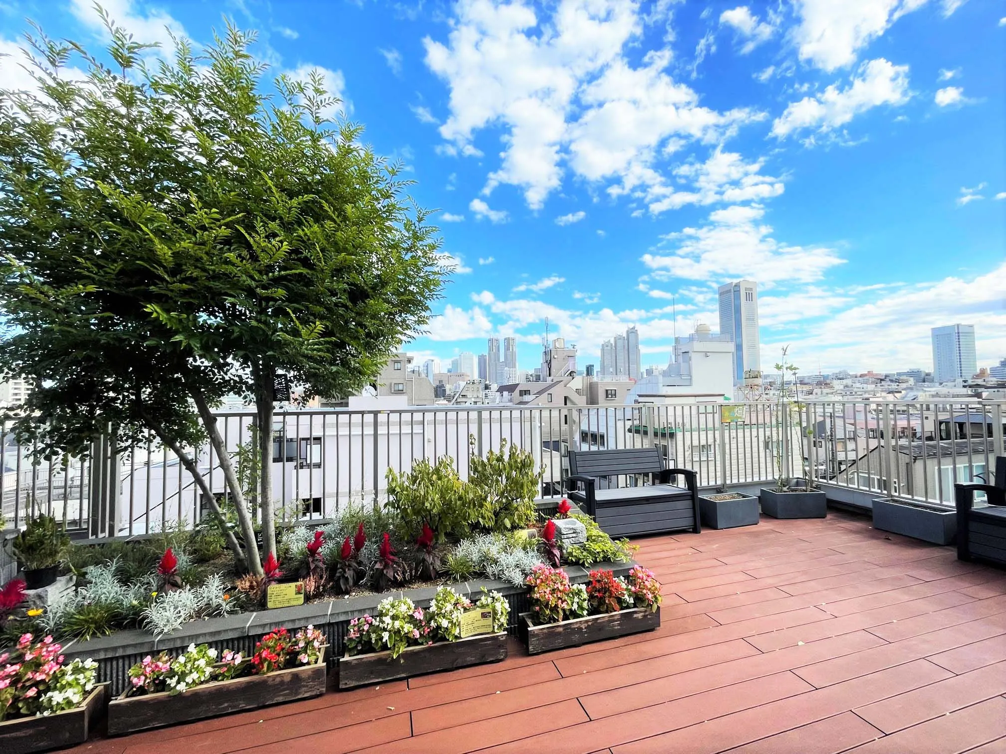 もみの樹・渋谷本町の紹介写真 2