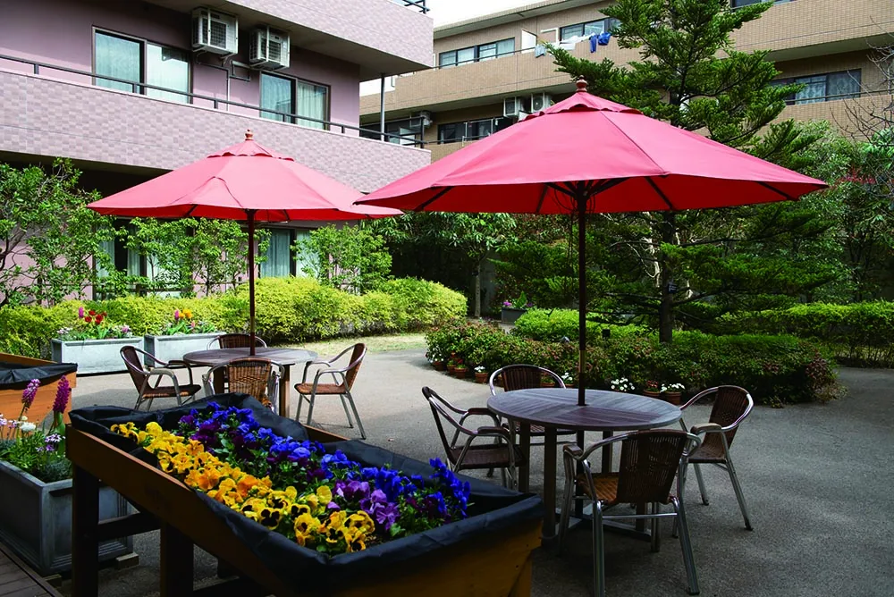 もみの樹・杉並の紹介写真 2