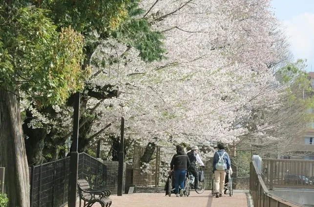 フローレンスケア荻窪の紹介写真 6