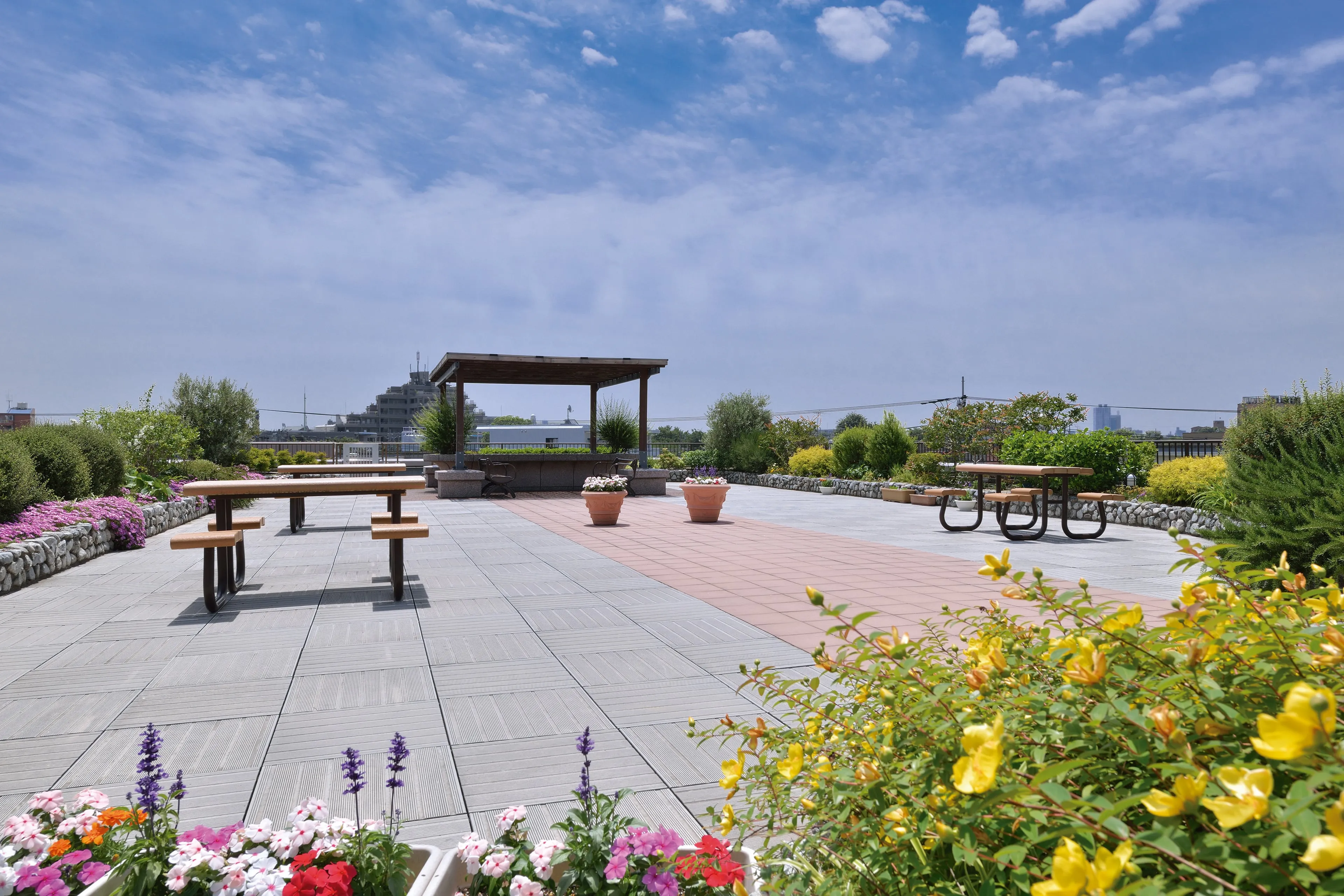 もみの樹・練馬の紹介写真 2