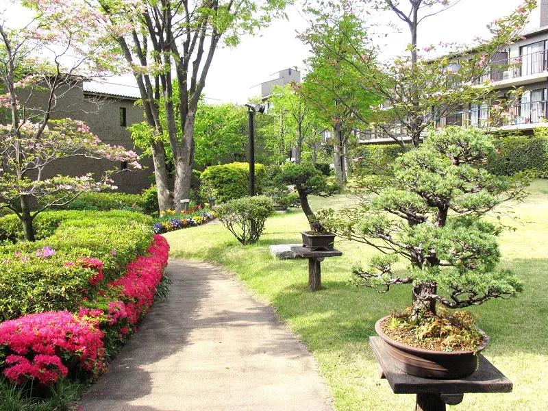 光が丘パークヴィラの紹介写真 3