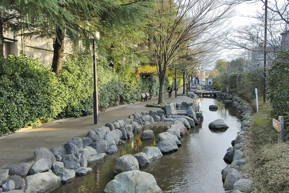 申孝園ロータスヴィラの紹介写真 7