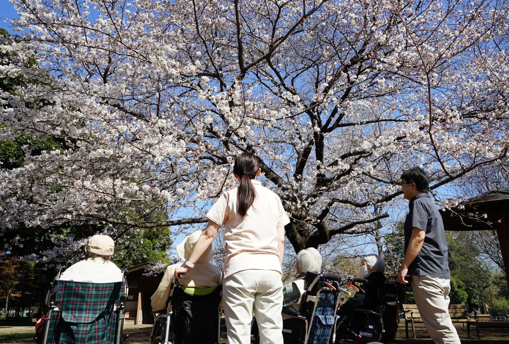 アロース井の頭の紹介写真 2
