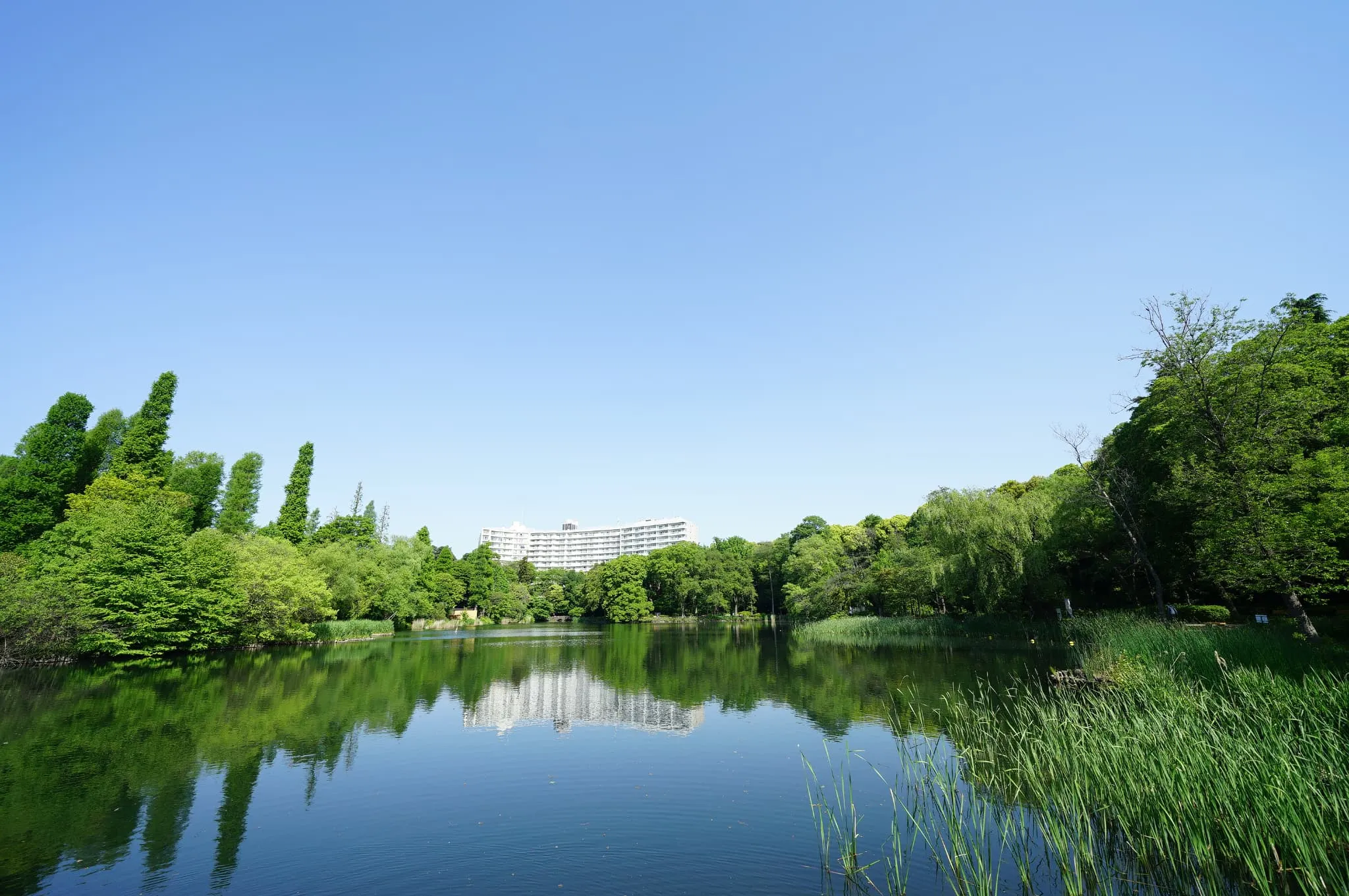 アロース井の頭の紹介写真 3