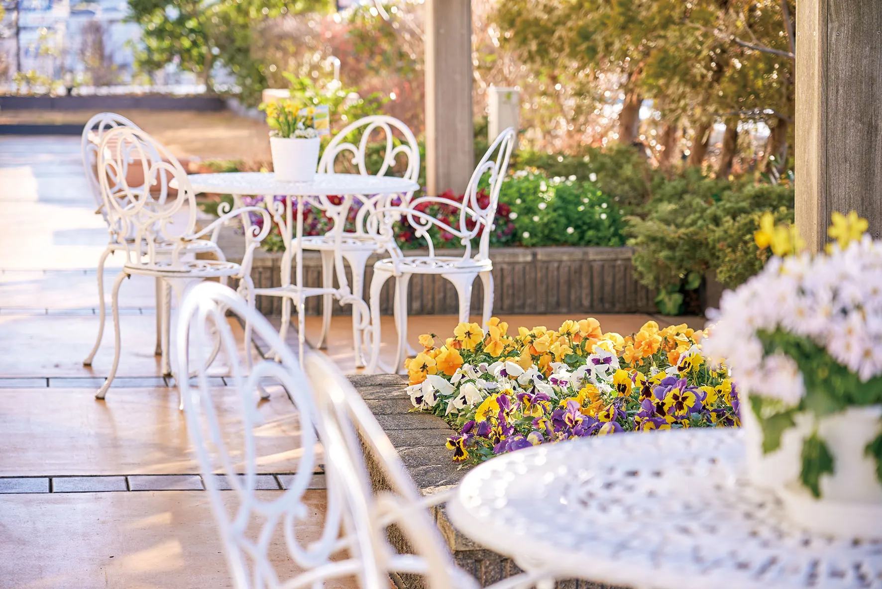 すいとぴー　三ツ境の紹介写真 5