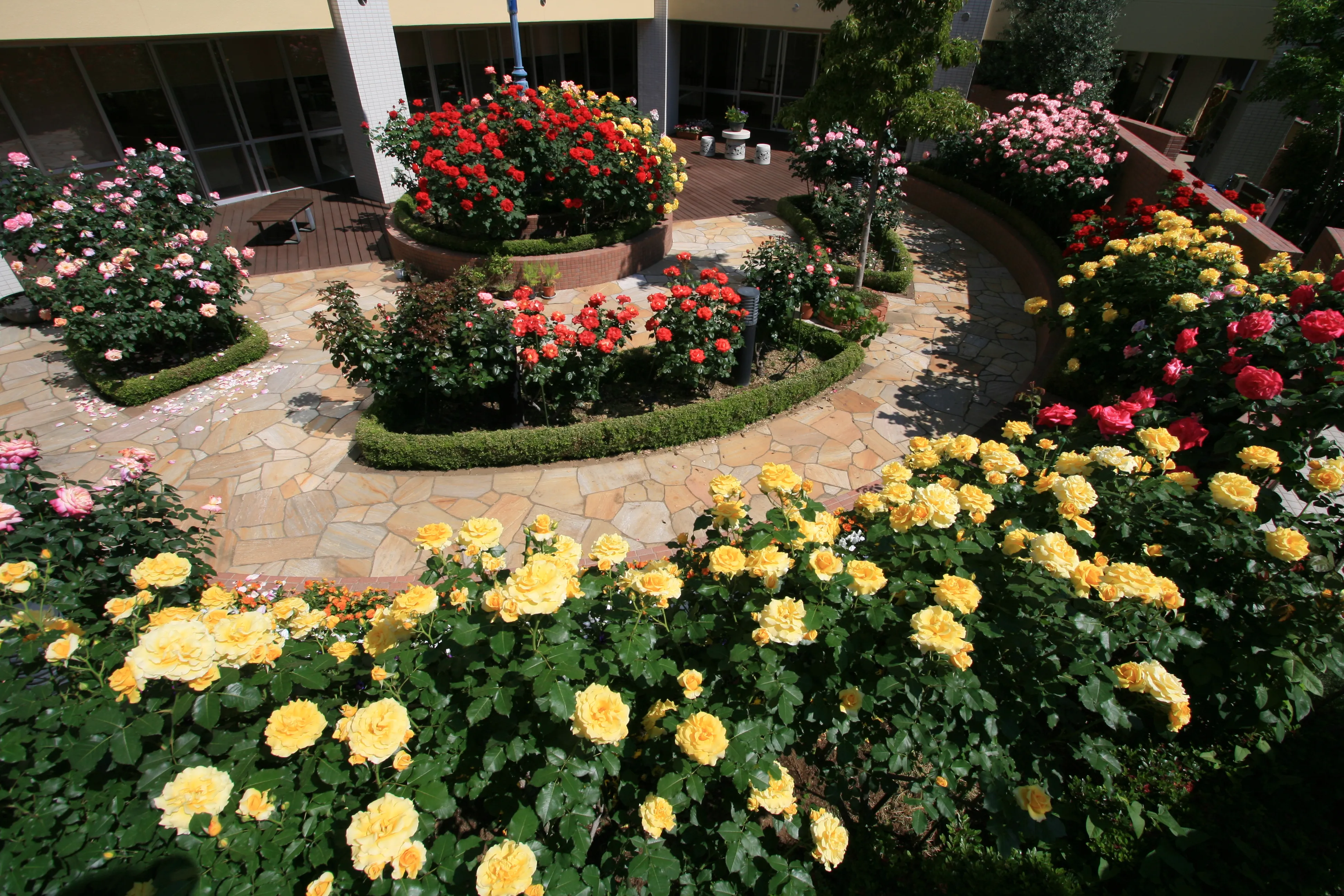 介護付有料老人ホーム　ばらの庄の紹介写真 2