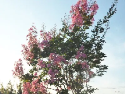 さわやかみなと館の紹介写真 4