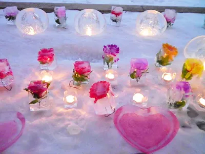 さわやか東神楽館の紹介写真 3