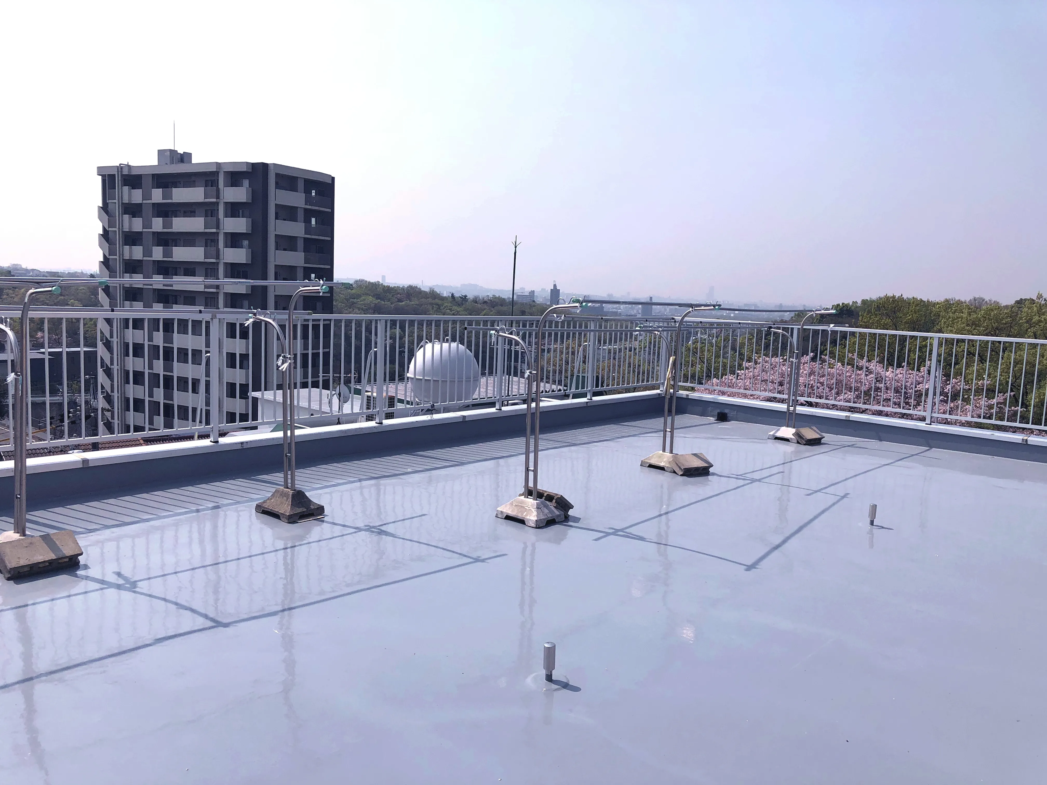 有料老人ホーム　新生館の紹介写真 3