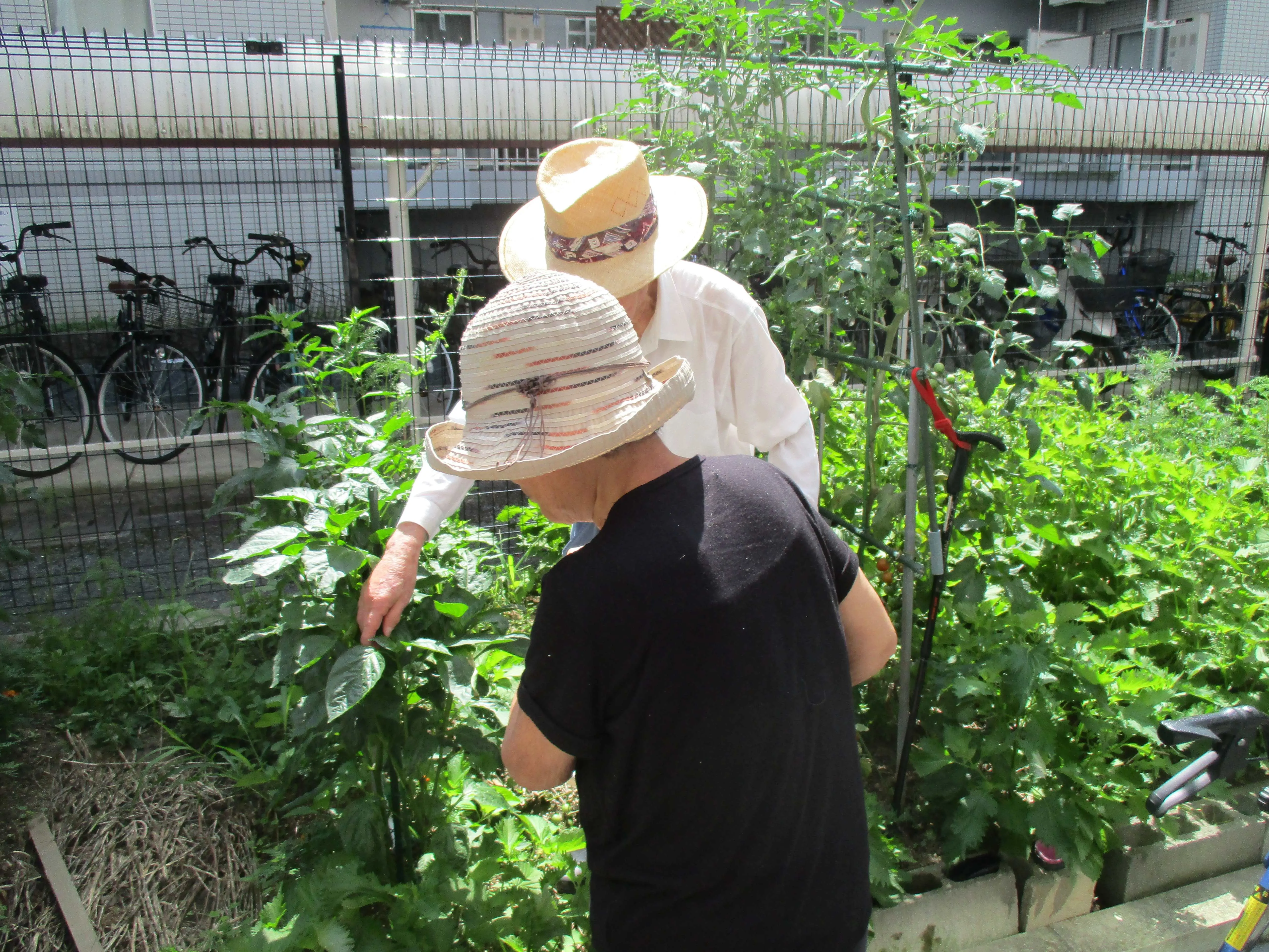さわやか住吉館の紹介写真 2