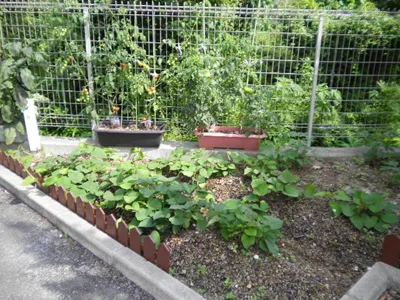 さわやか新門司館の紹介写真 5