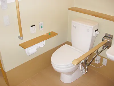 さわやかこすもす館の紹介写真 4