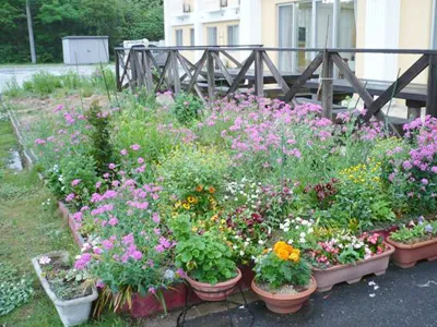 さわやか田川館の紹介写真 4