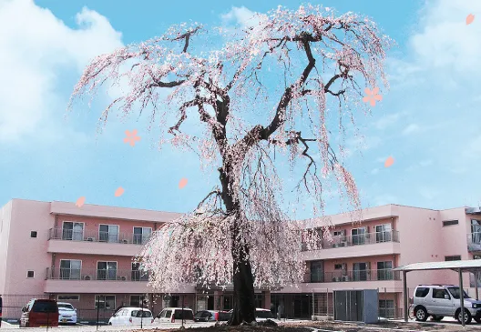介護付有料老人ホーム桜庵の紹介写真