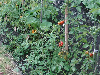 さわやかかぬま館の紹介写真 2