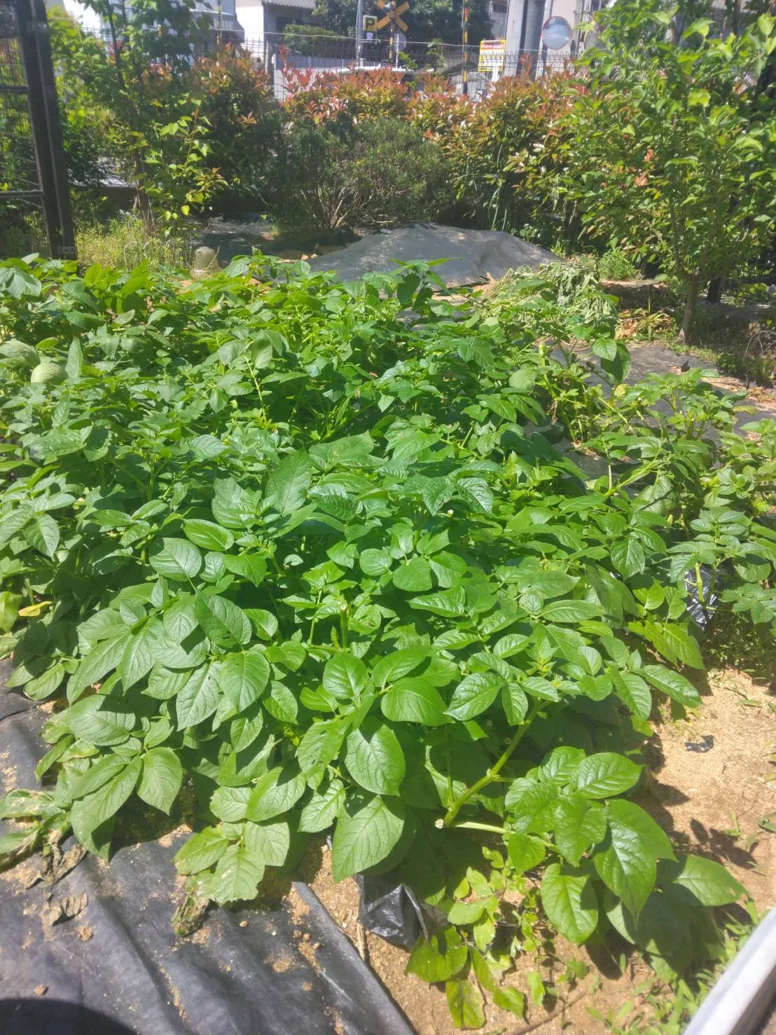 ベルライフ築山の紹介写真 2