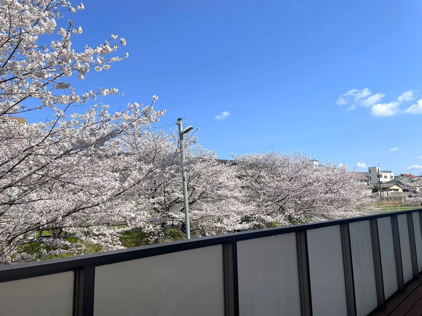 ハートランド生駒の紹介写真 7