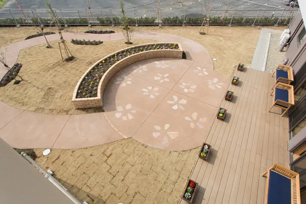 ミアヘルサ　オアシス東新小岩の紹介写真 7