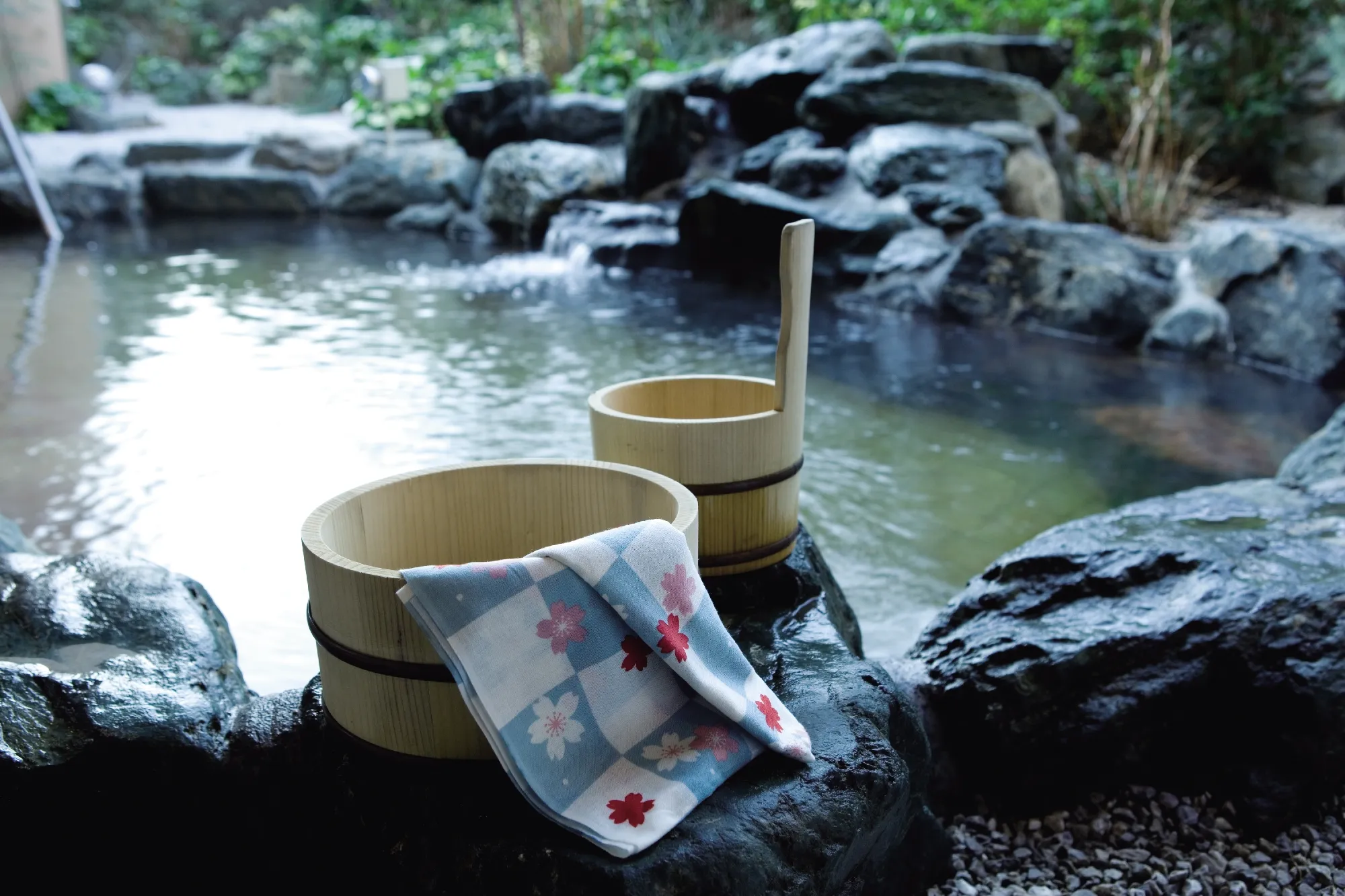 グリーンフォレストビレッジ 楓コートの紹介写真 2