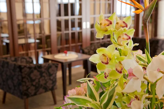 シニア町内会NARITA公津の杜の紹介写真 2