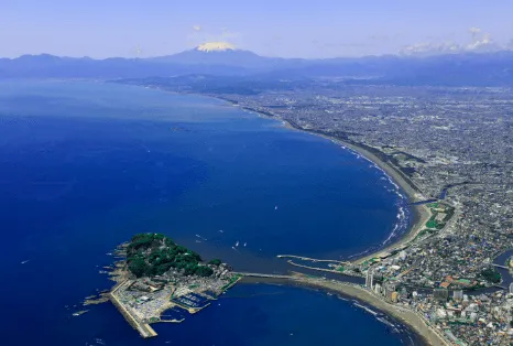 ネオ・サミット茅ヶ崎の紹介写真