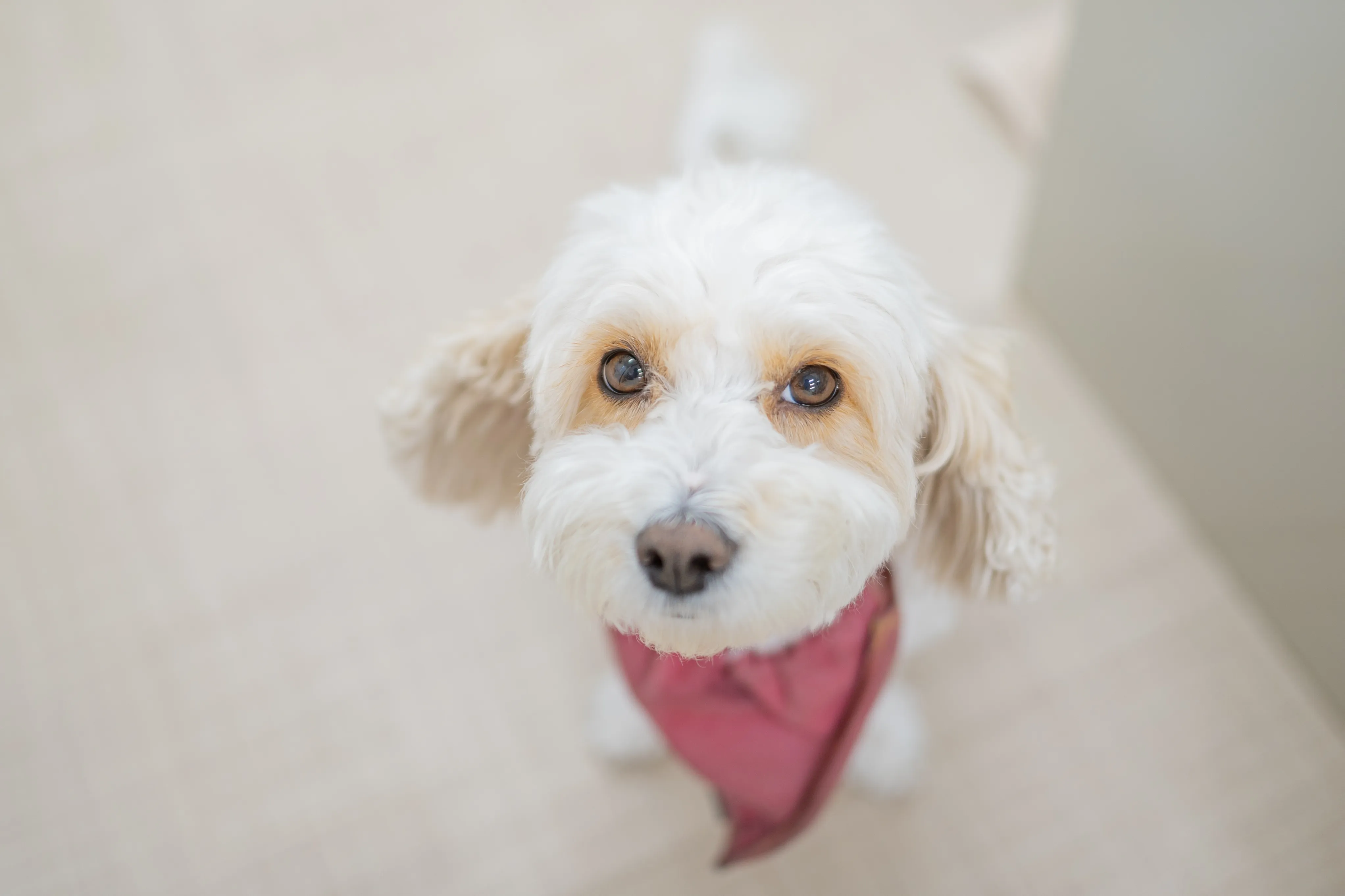 たいよう遠賀館の紹介写真 7