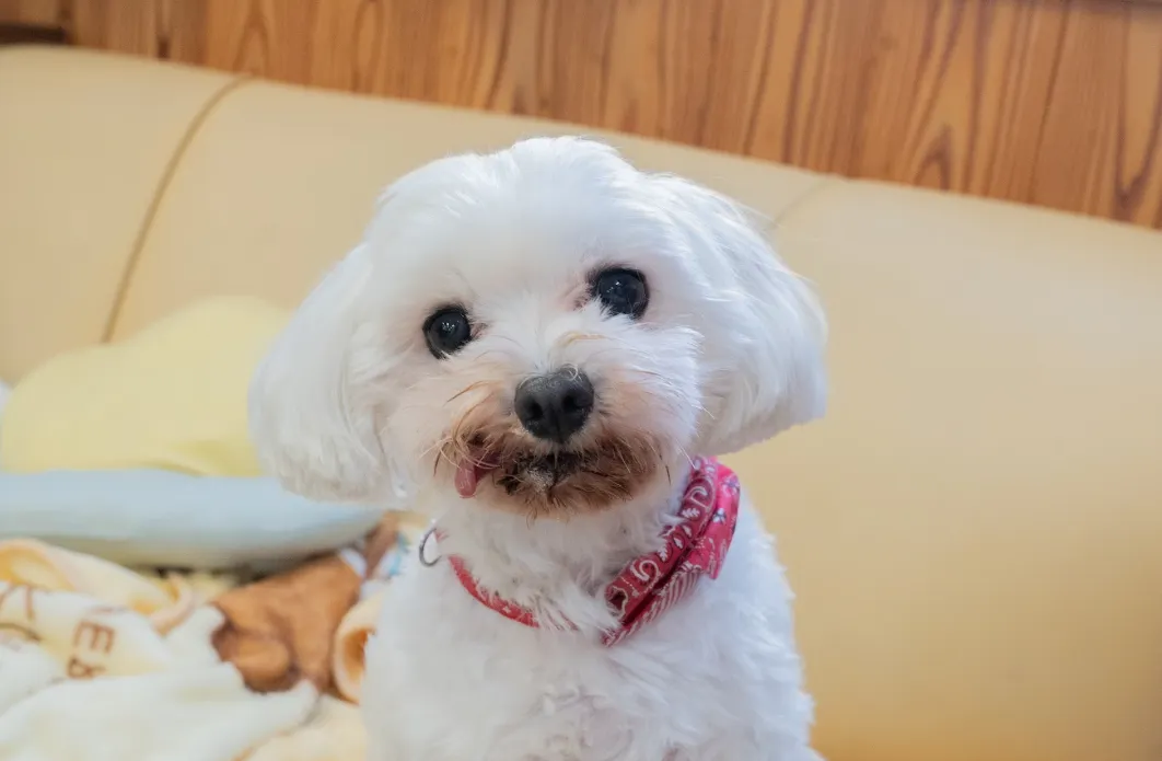 たいよう浦田館の紹介写真 7