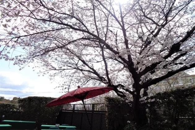 エスティームライフ学園前の紹介写真 2