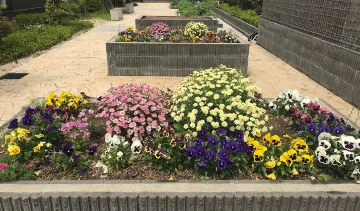 ケア・パレス加美苑の紹介写真 5