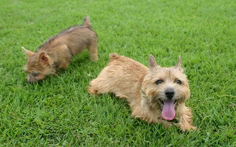 ディーフェスタクオーレ立川の紹介写真 5