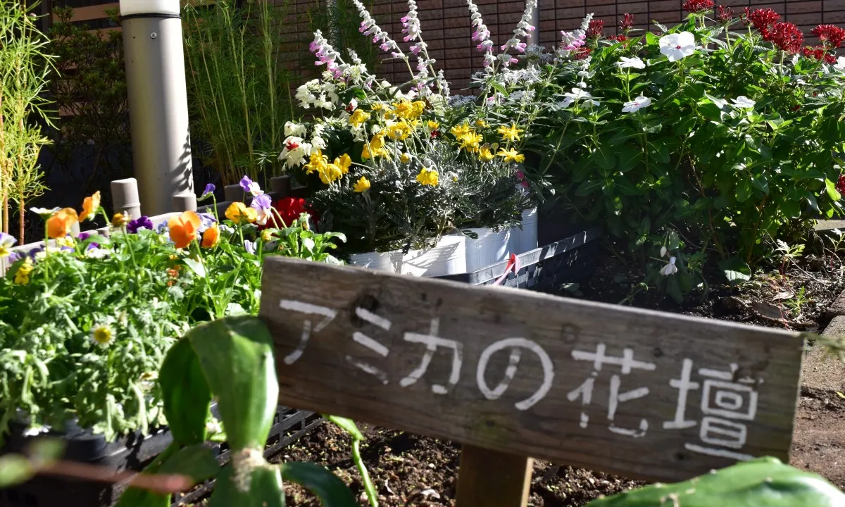 アミカの郷ちとせの紹介写真 6