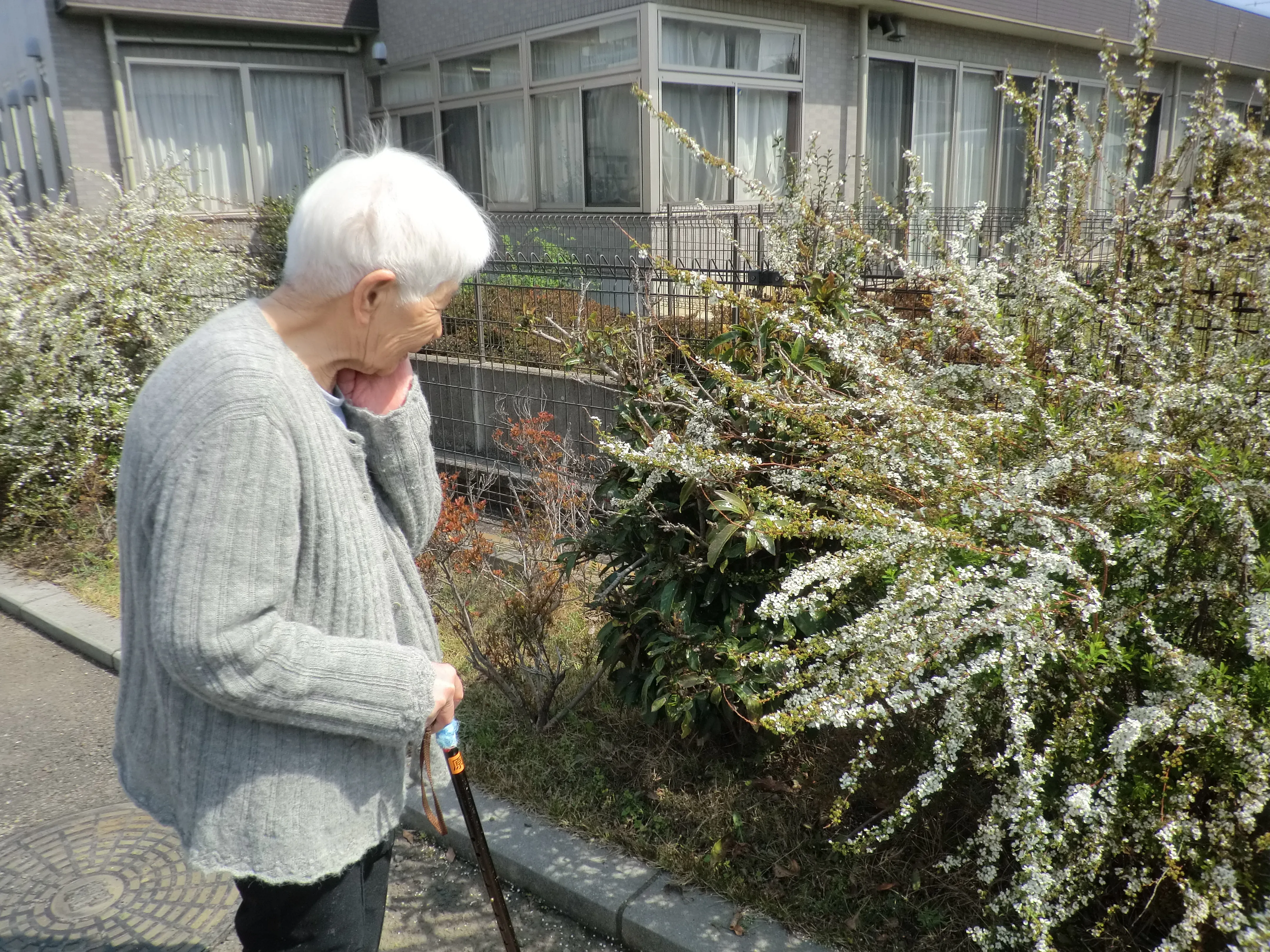 みんなの家・志木上宗岡の紹介写真 2