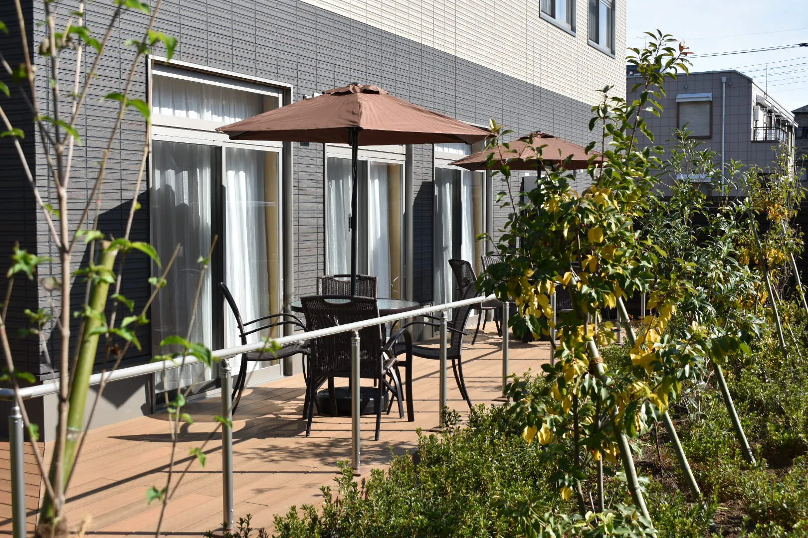 アミカの郷小平あじさい公園の紹介写真 2