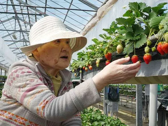 みんなの家・新川崎の紹介写真 6