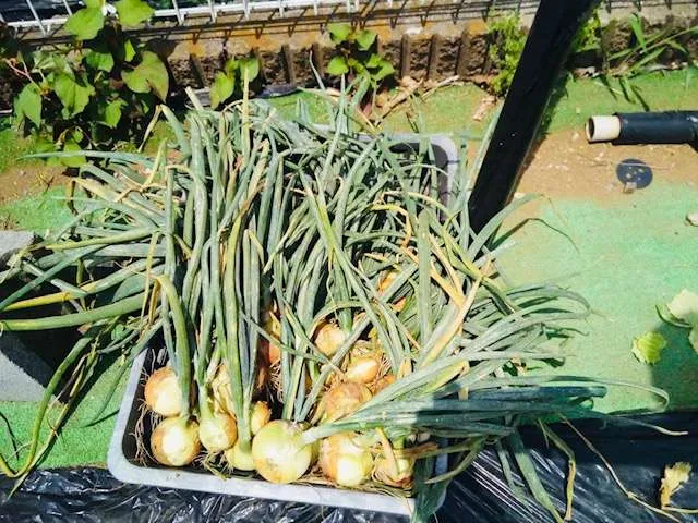 みんなの家・横浜三保２の紹介写真 4