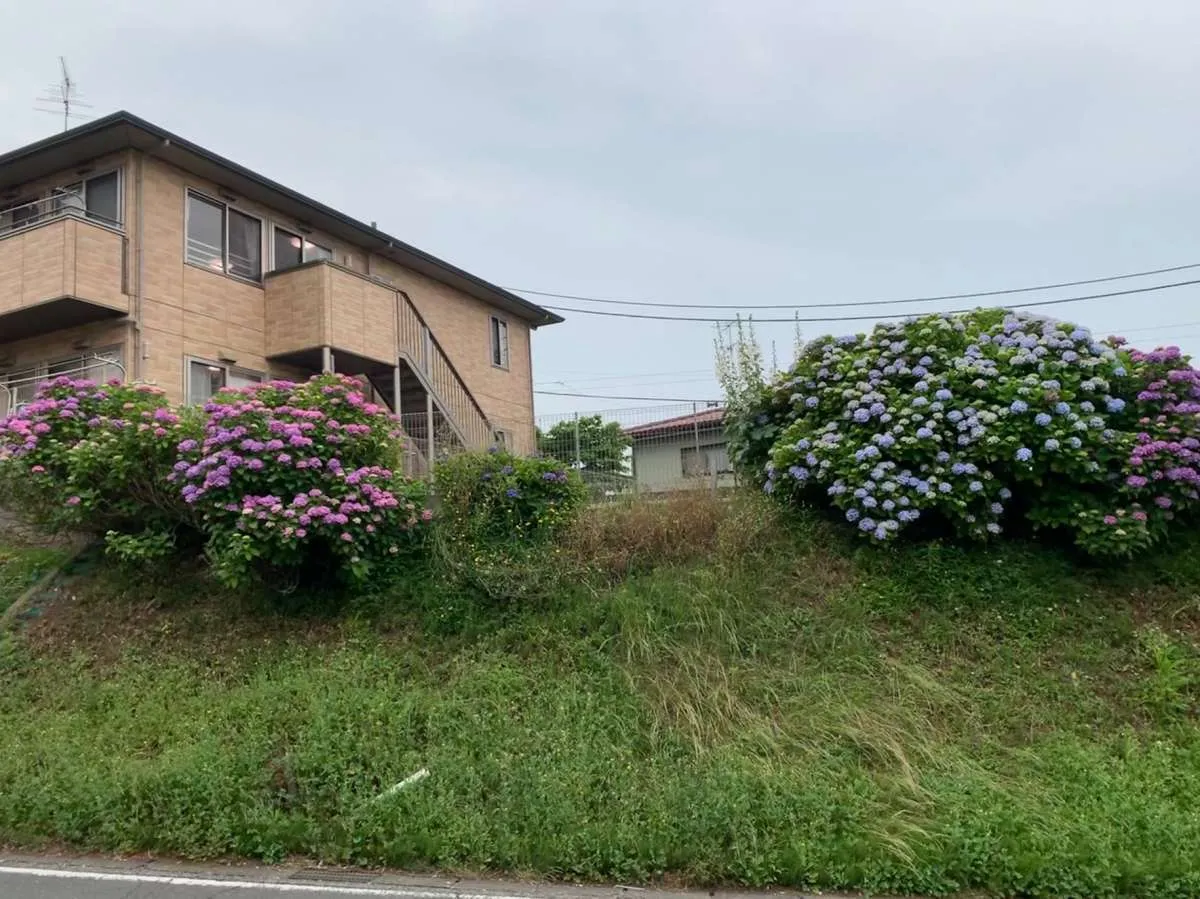 みんなの家・横浜羽沢２の紹介写真 5