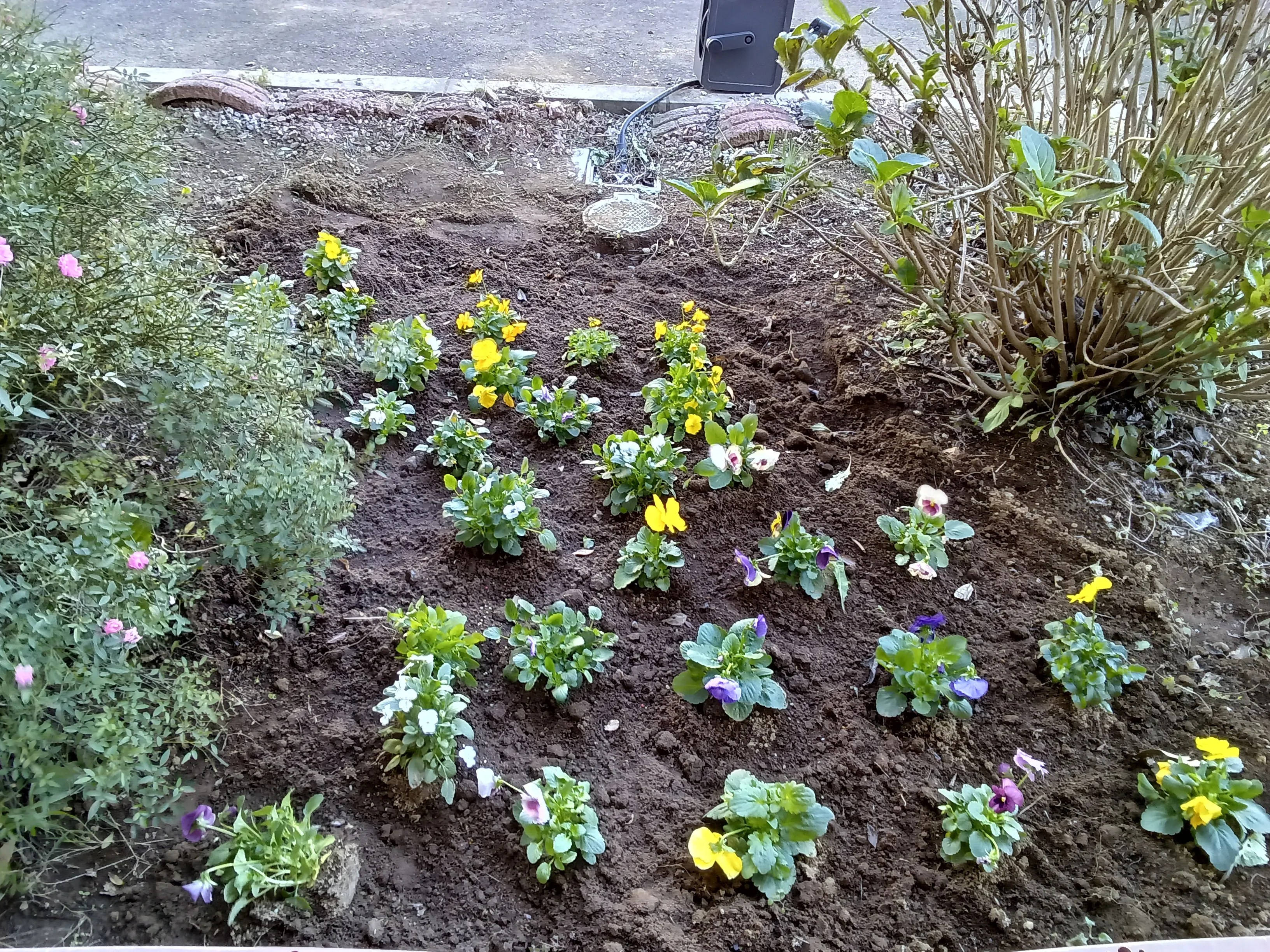 みんなの家・あきがせの紹介写真 3