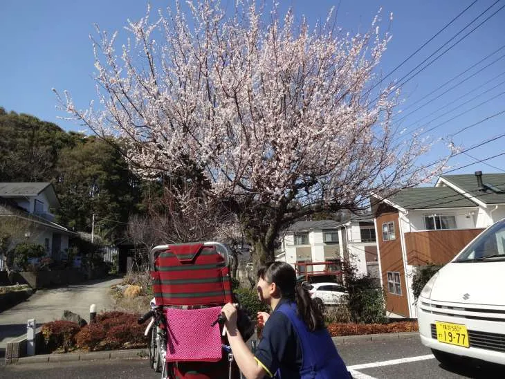 みんなの家・横浜上白根の紹介写真 5