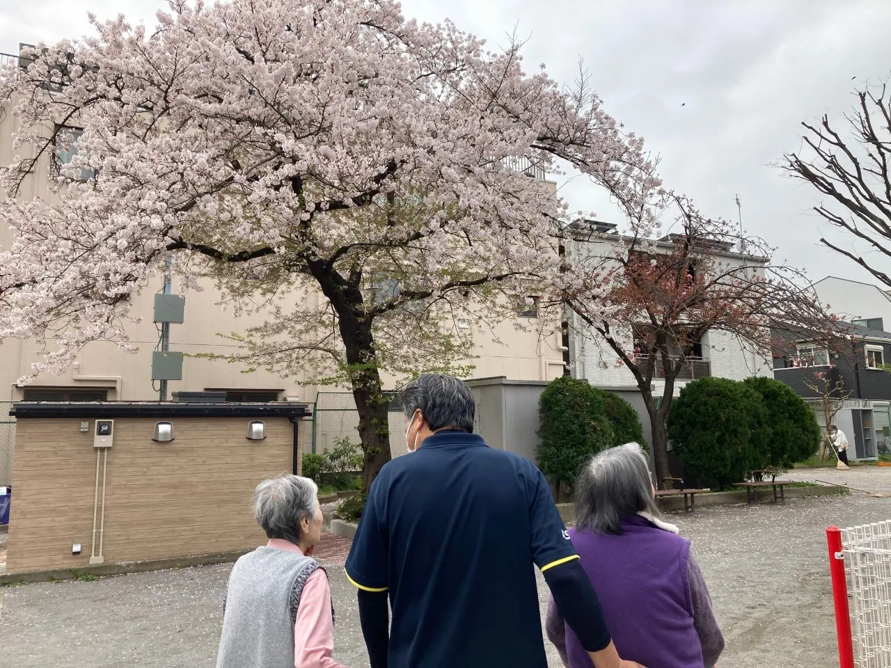 みんなの家・墨田の紹介写真 5