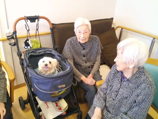 みんなの家・丸ヶ崎の紹介写真 7