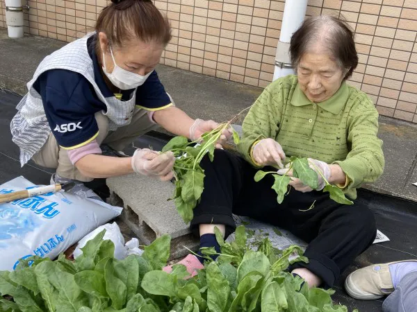 みんなの家・清河寺２の紹介写真 6