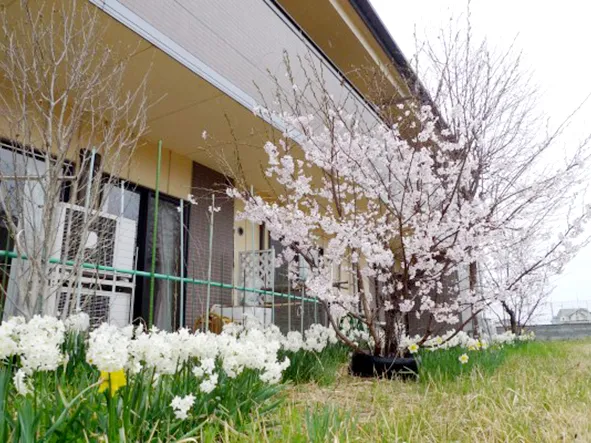 みんなの家・鴻巣の紹介写真 7