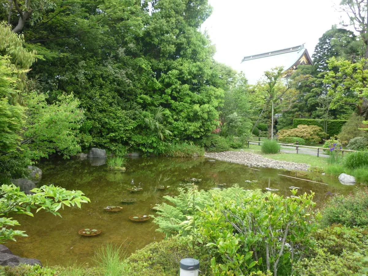 みんなの家・戸田の紹介写真 4