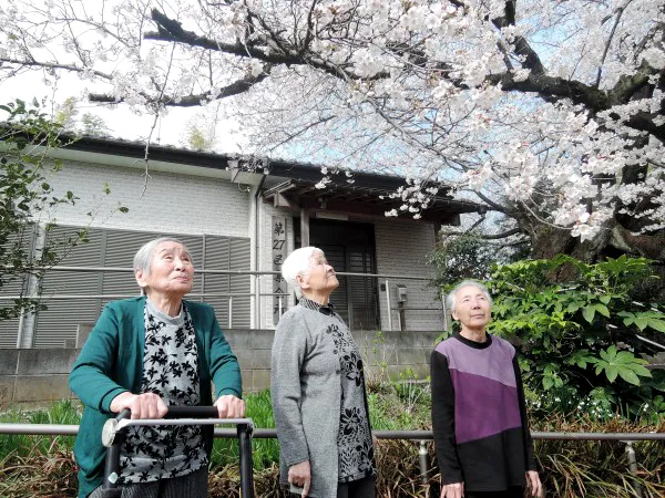 みんなの家・菖蒲の紹介写真 2