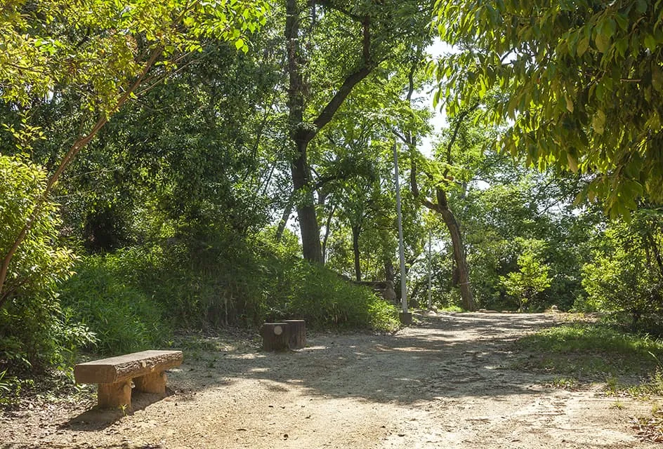 グッドタイム リビング 香里ヶ丘の紹介写真 7