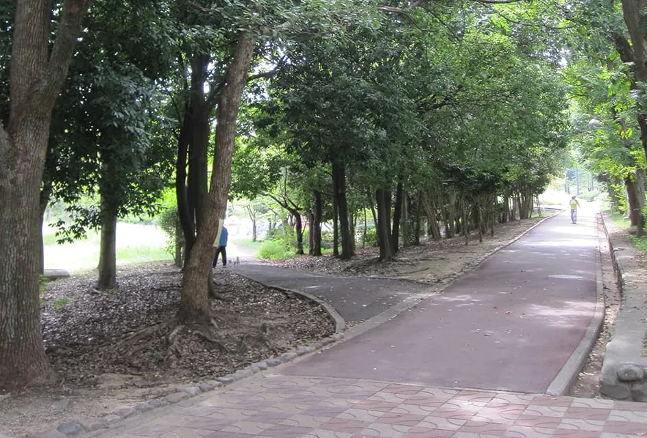 グッドタイム リビング 泉北泉ヶ丘の紹介写真 5