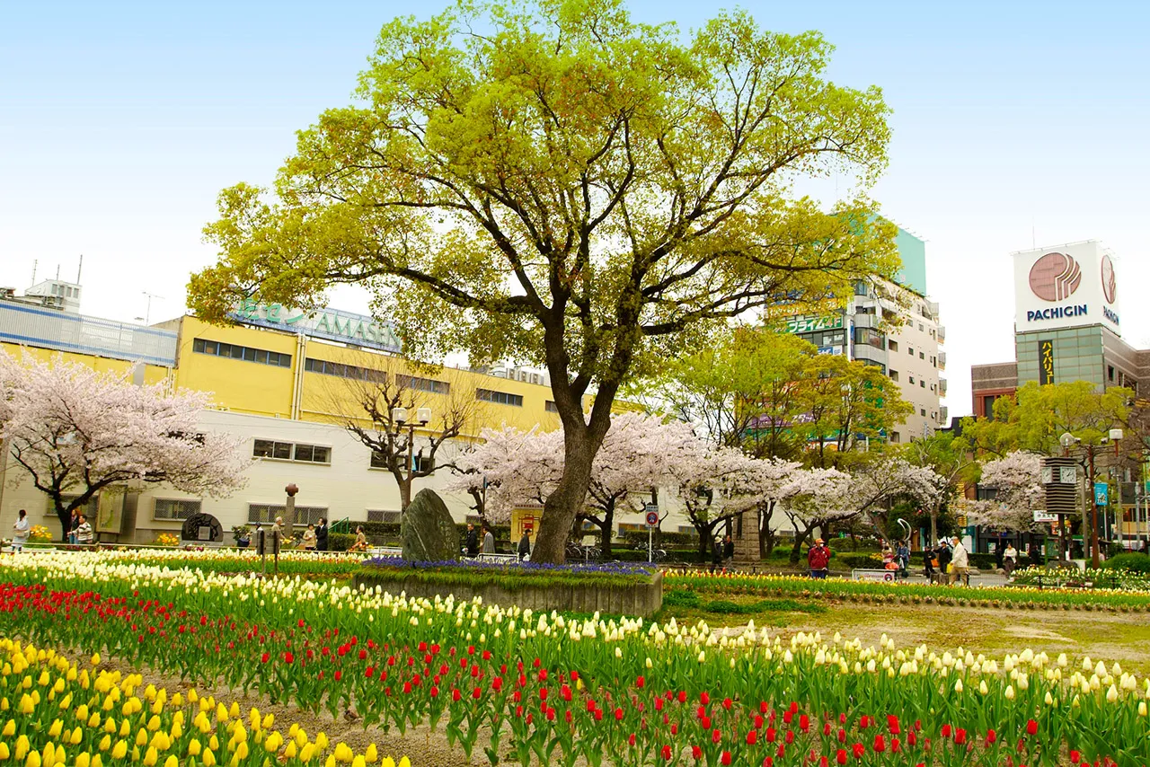 グッドタイム リビング 尼崎駅前の紹介写真 7